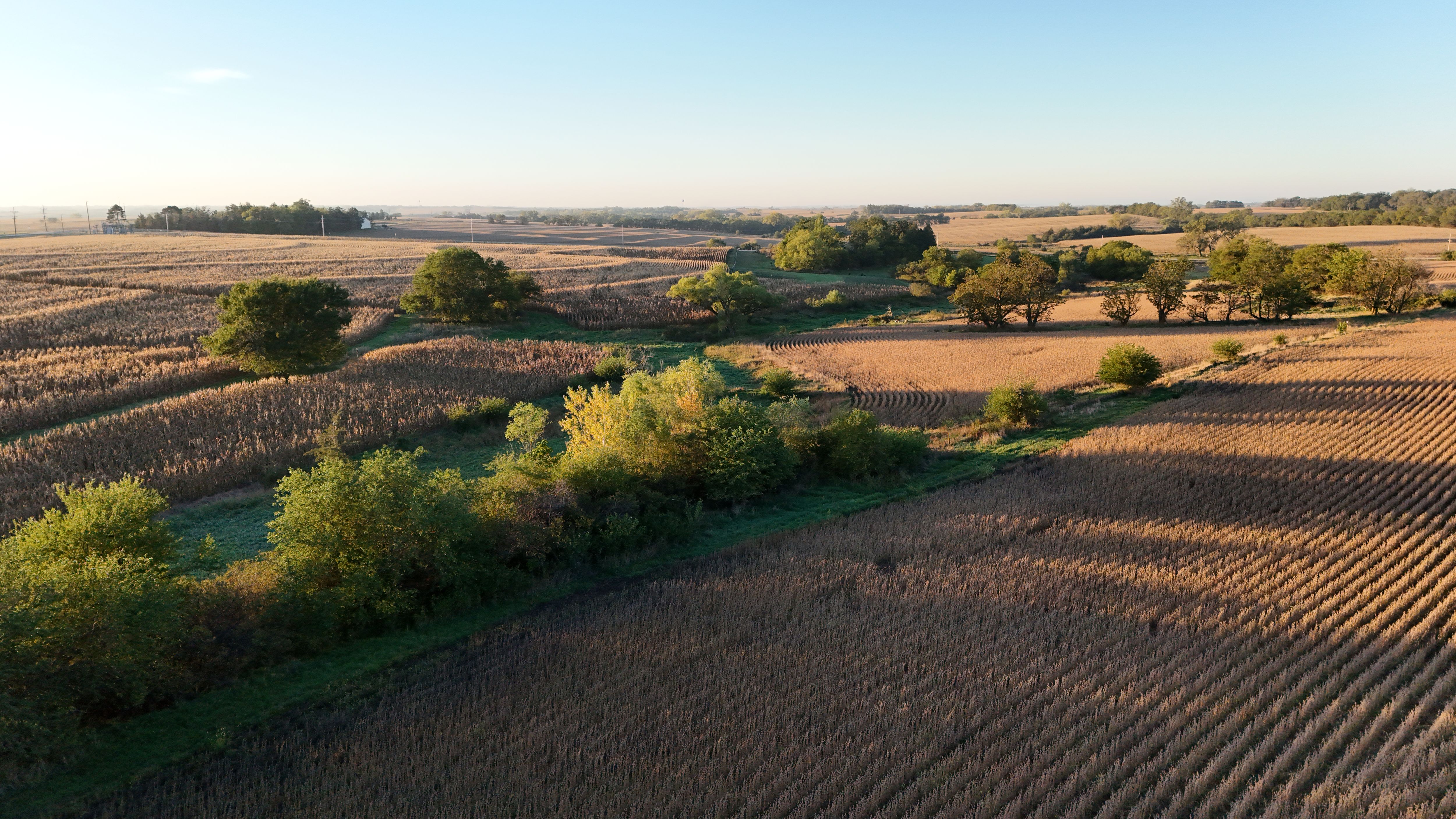 Listing Photo: lancaster-county-ne-125-acres (14)